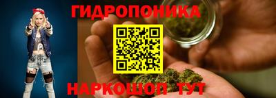 кокс Гусев
