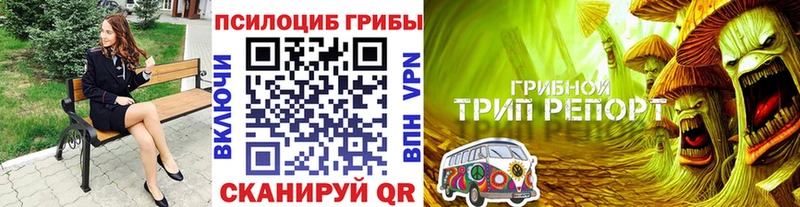 мега онион  Магадан  Псилоцибиновые грибы мицелий 